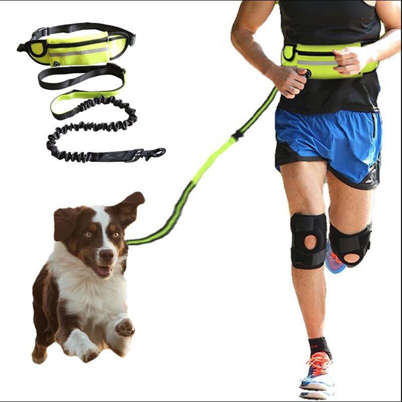 Jog with your Dog - Fabulously Comfortable Hands Free Dog Leash - Pup Lake
