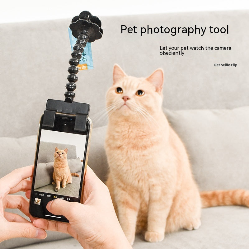 Pet Selfie Camera Tool – Phone Clip for Dogs & Cats - Pup Lake