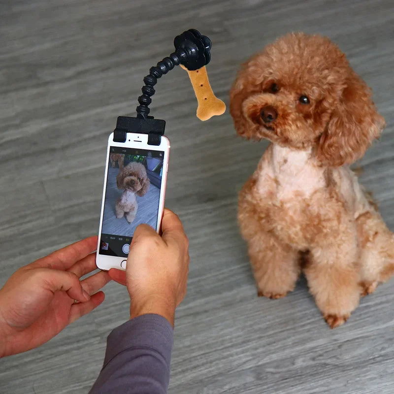 Pet Selfie Camera Tool – Phone Clip for Dogs & Cats - Pup Lake