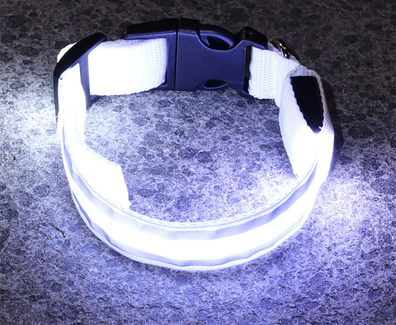 LED Glowing Dog Collar – Anti-Lost, Night Safety Pet Light Collar - Pup Lake