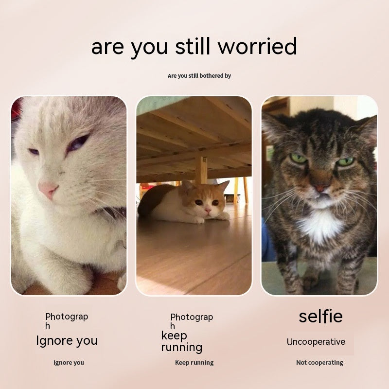Pet Selfie Camera Tool – Phone Clip for Dogs & Cats - Pup Lake