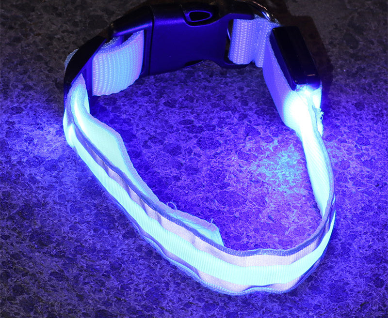 LED Glowing Dog Collar – Anti-Lost, Night Safety Pet Light Collar - Pup Lake