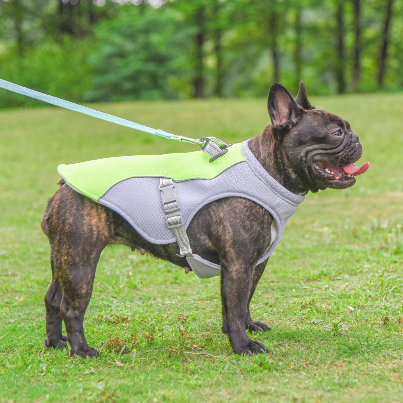 Dog Cooling Vest – Summer Heat-Resistant Clothes for All Dogs - Pup Lake