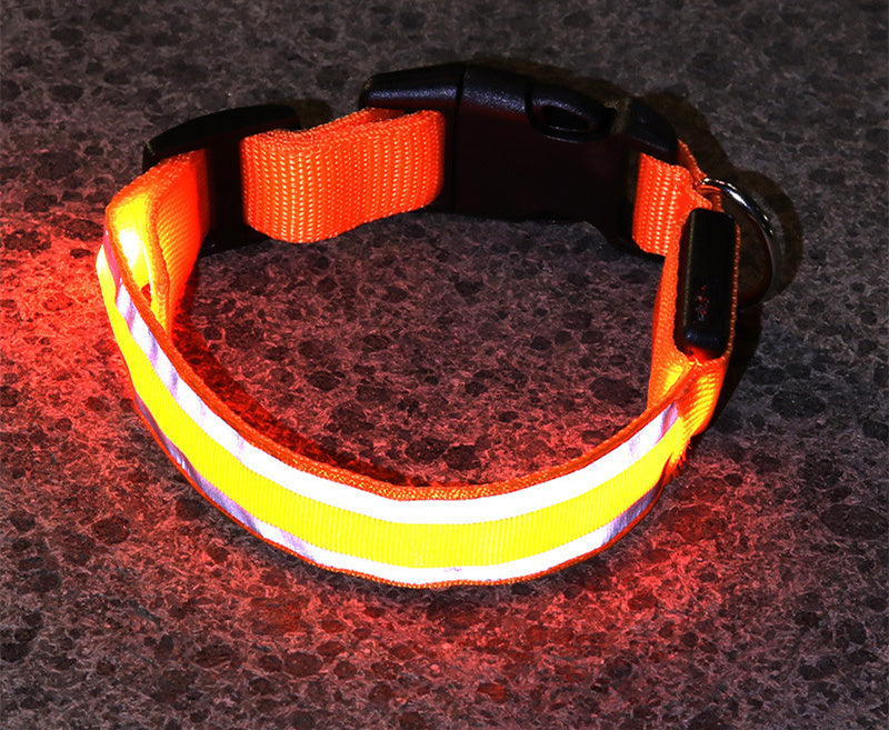 LED Glowing Dog Collar – Anti-Lost, Night Safety Pet Light Collar - Pup Lake