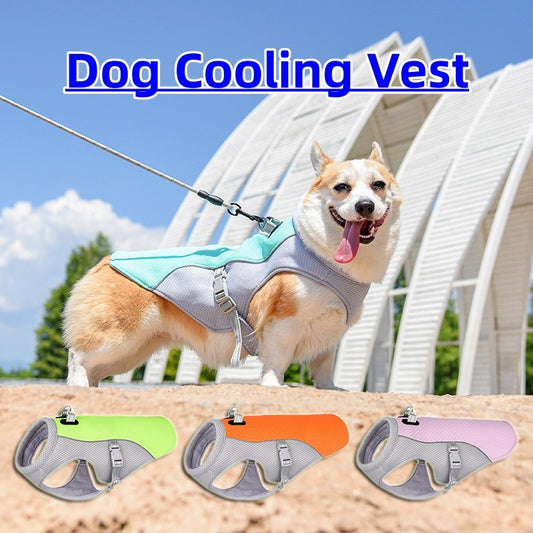 Dog Cooling Vest – Summer Heat-Resistant Clothes for All Dogs - Pup Lake