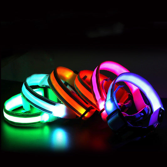 LED Glowing Dog Collar – Anti-Lost, Night Safety Pet Light Collar - Pup Lake